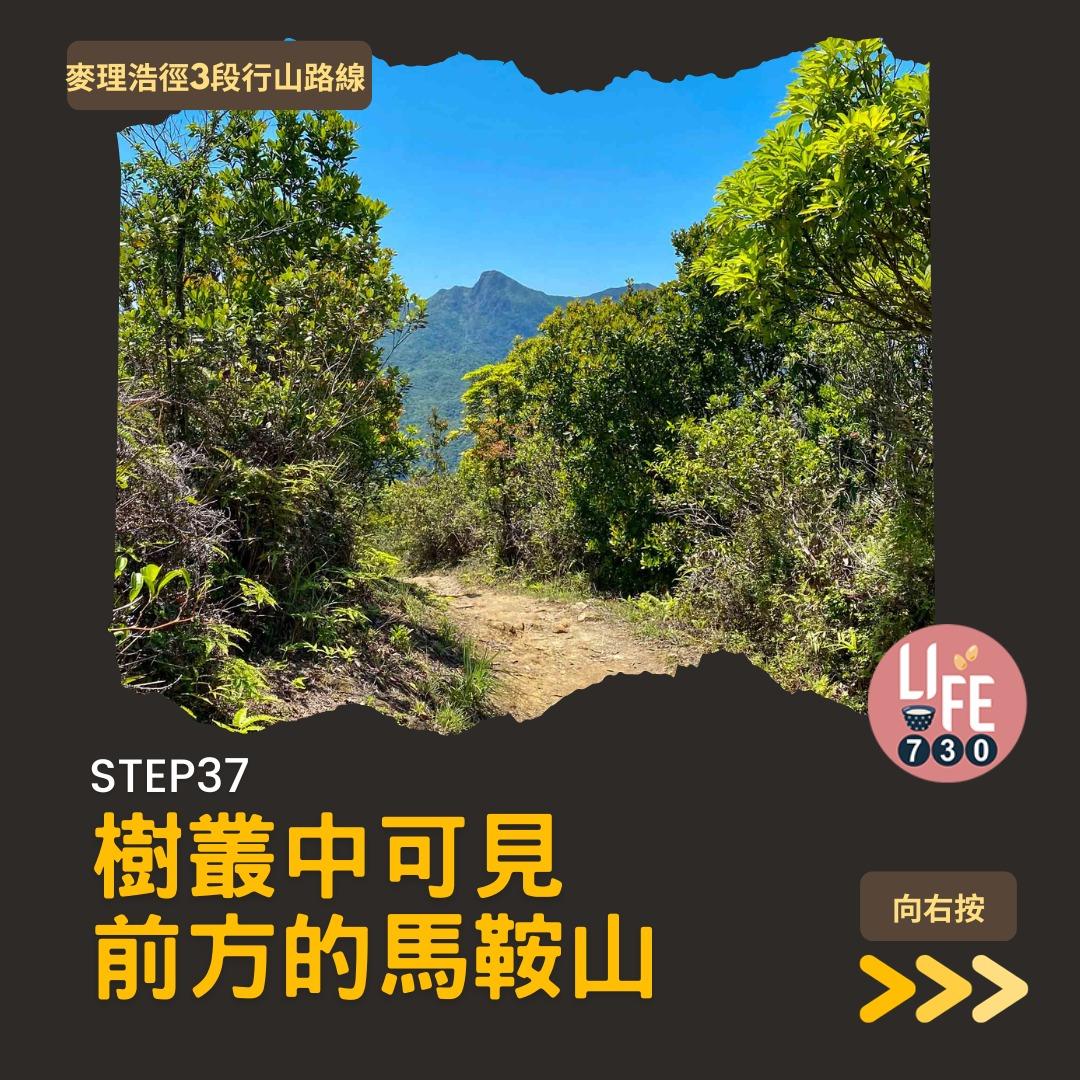 麥理浩徑3段行山路線(am730製圖)