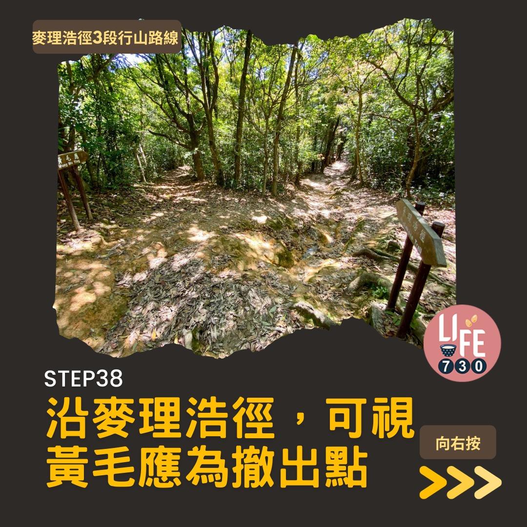 麥理浩徑3段行山路線(am730製圖)