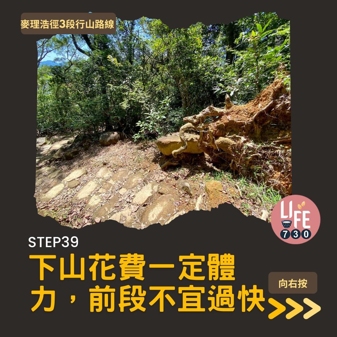 麥理浩徑3段行山路線(am730製圖)