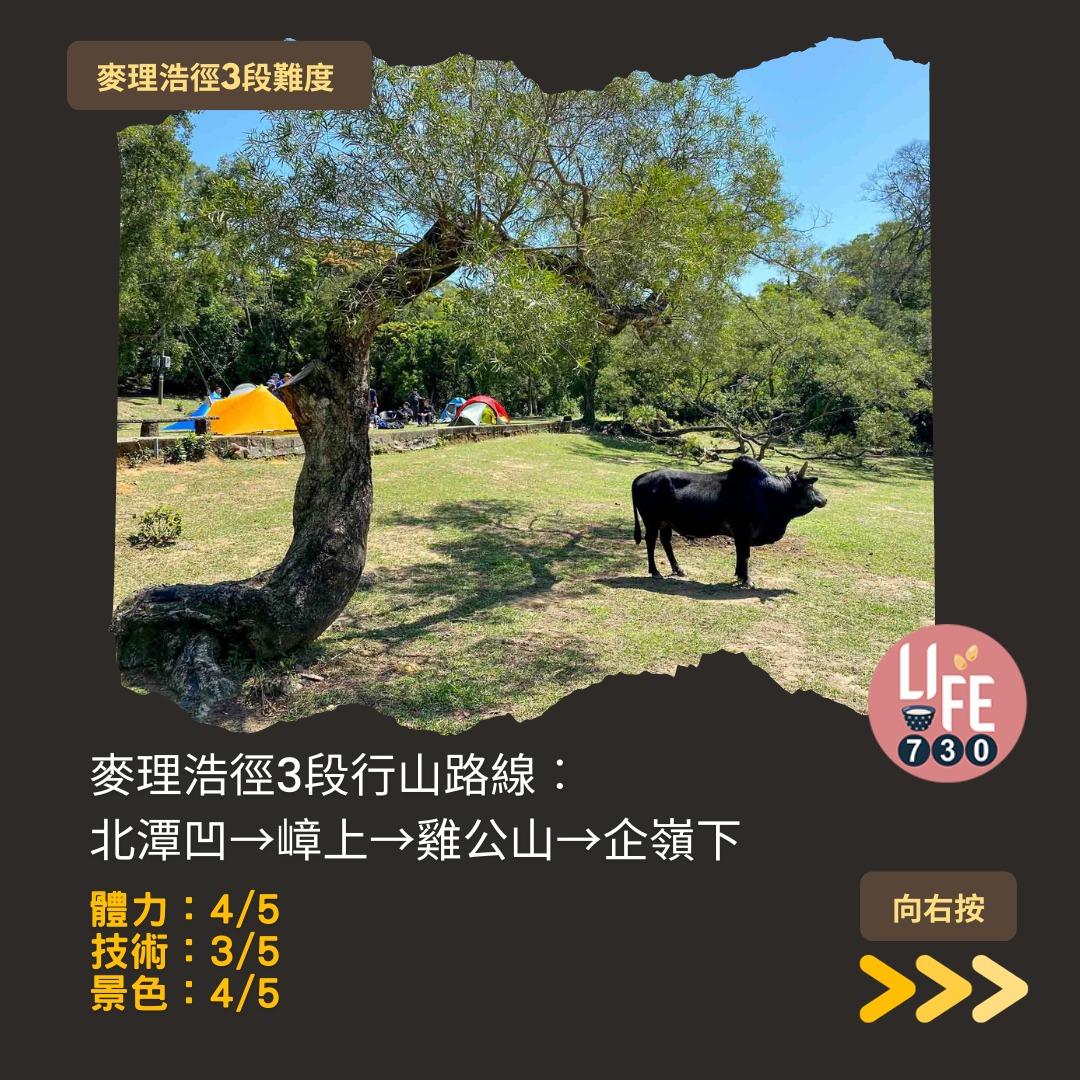 麥理浩徑3段行山路線(am730製圖)