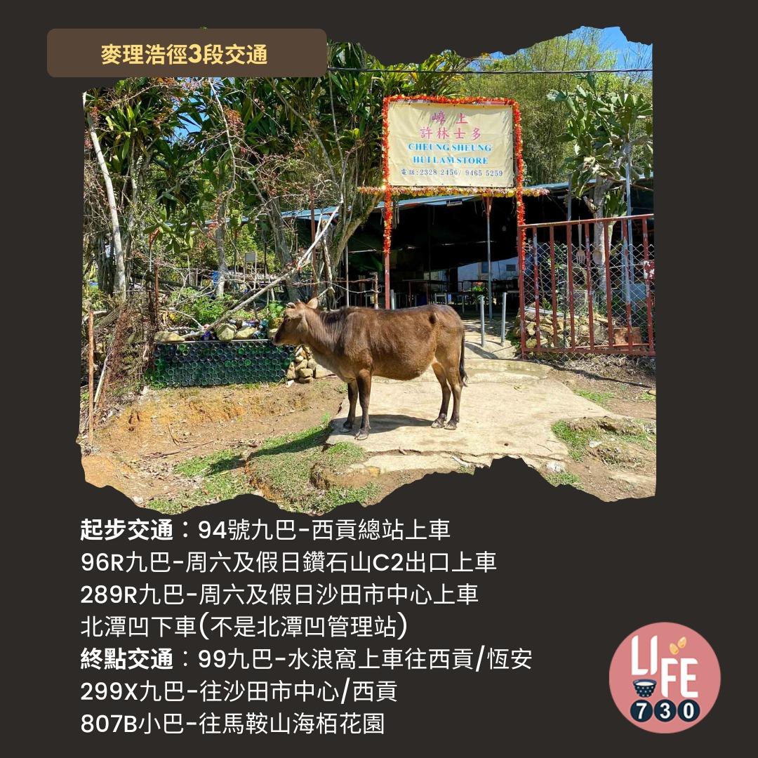 麥理浩徑3段行山路線(am730製圖)