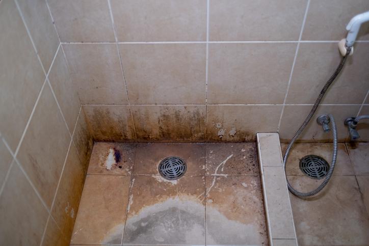 除鏽方法可使用含有草酸或檸檬酸清潔的產品再稀釋使用