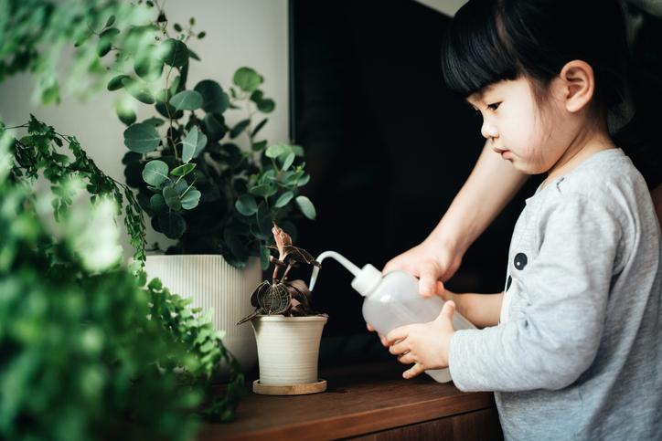 廚餘製作成環保酵素用途5丨淋花,以1:1000比例用水稀釋環保酵素,用來灌溉家中的盆栽,可以減少害蟲,也能讓花卉生長得更健康。(Getty Images)