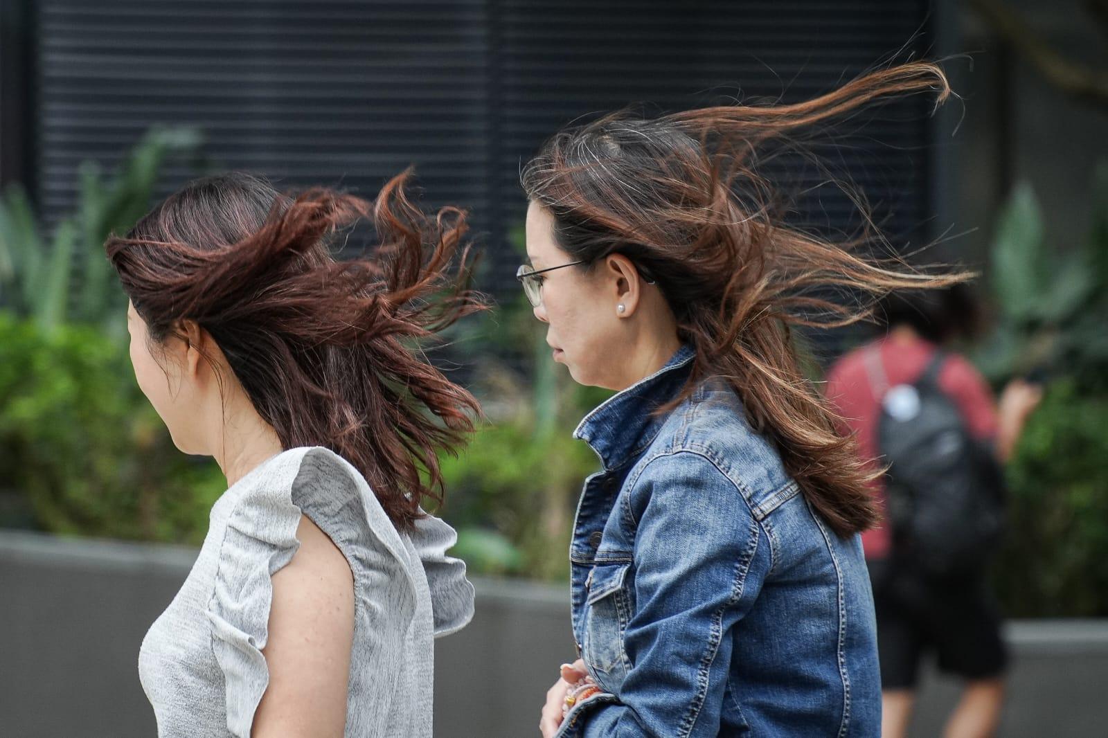 颱風小犬|天文台:三號強風信號至少維持至明早6時(李睿哲攝)