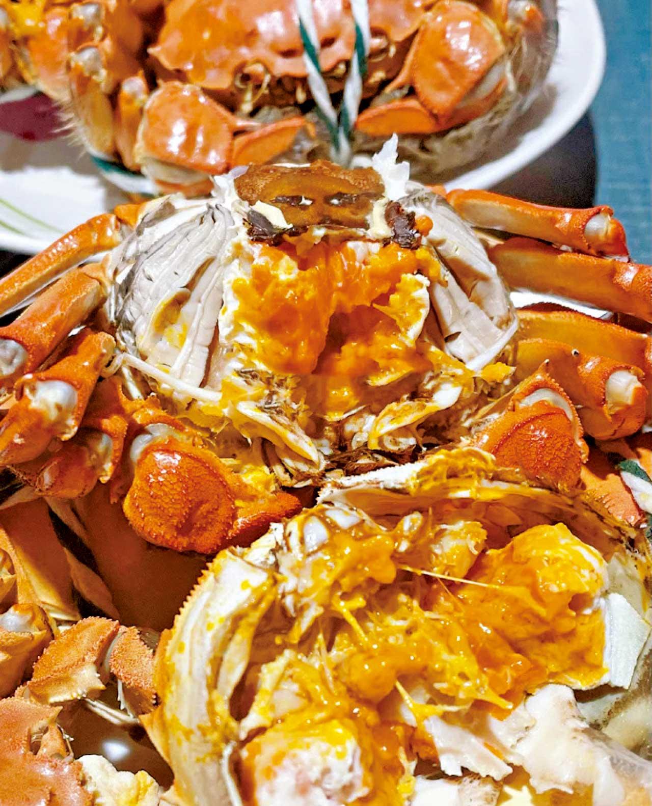 秋日賞楓之旅特輯