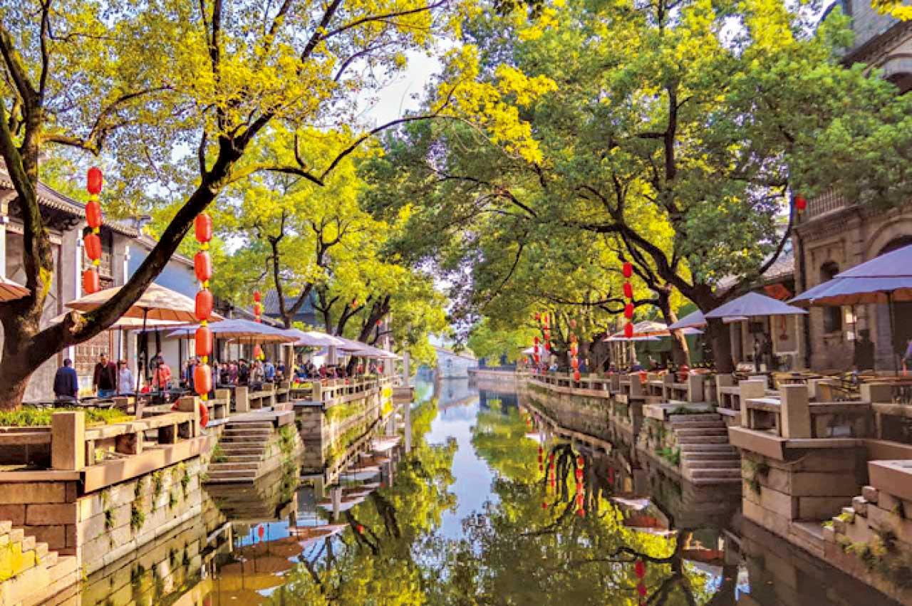 秋日賞楓之旅特輯