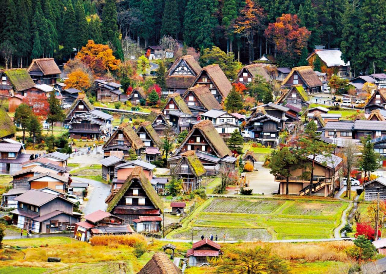 秋日賞楓之旅特輯