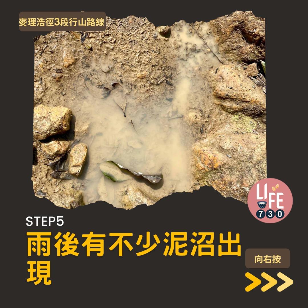 麥理浩徑3段行山路線(am730製圖)