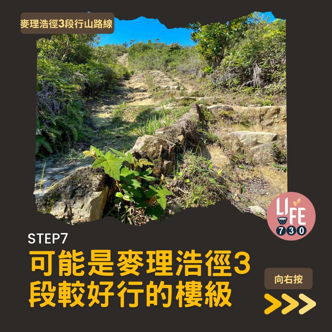 麥理浩徑3段行山路線(am730製圖)