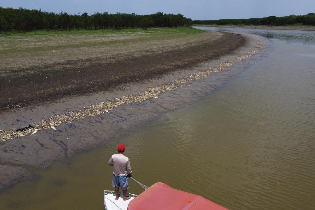 巴西亞馬遜地區Piranha湖乾涸,大量魚類死亡。(美聯社)