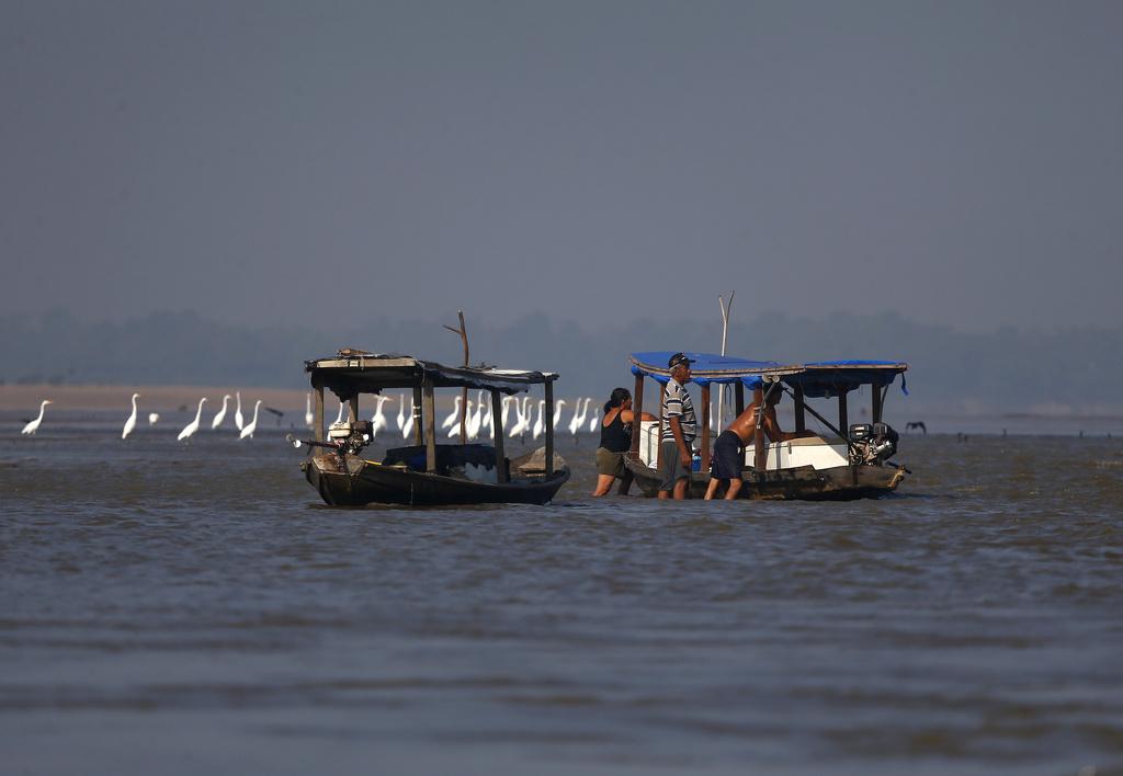 巴西亞馬遜地區正值旱季,水位下降。(美聯社)