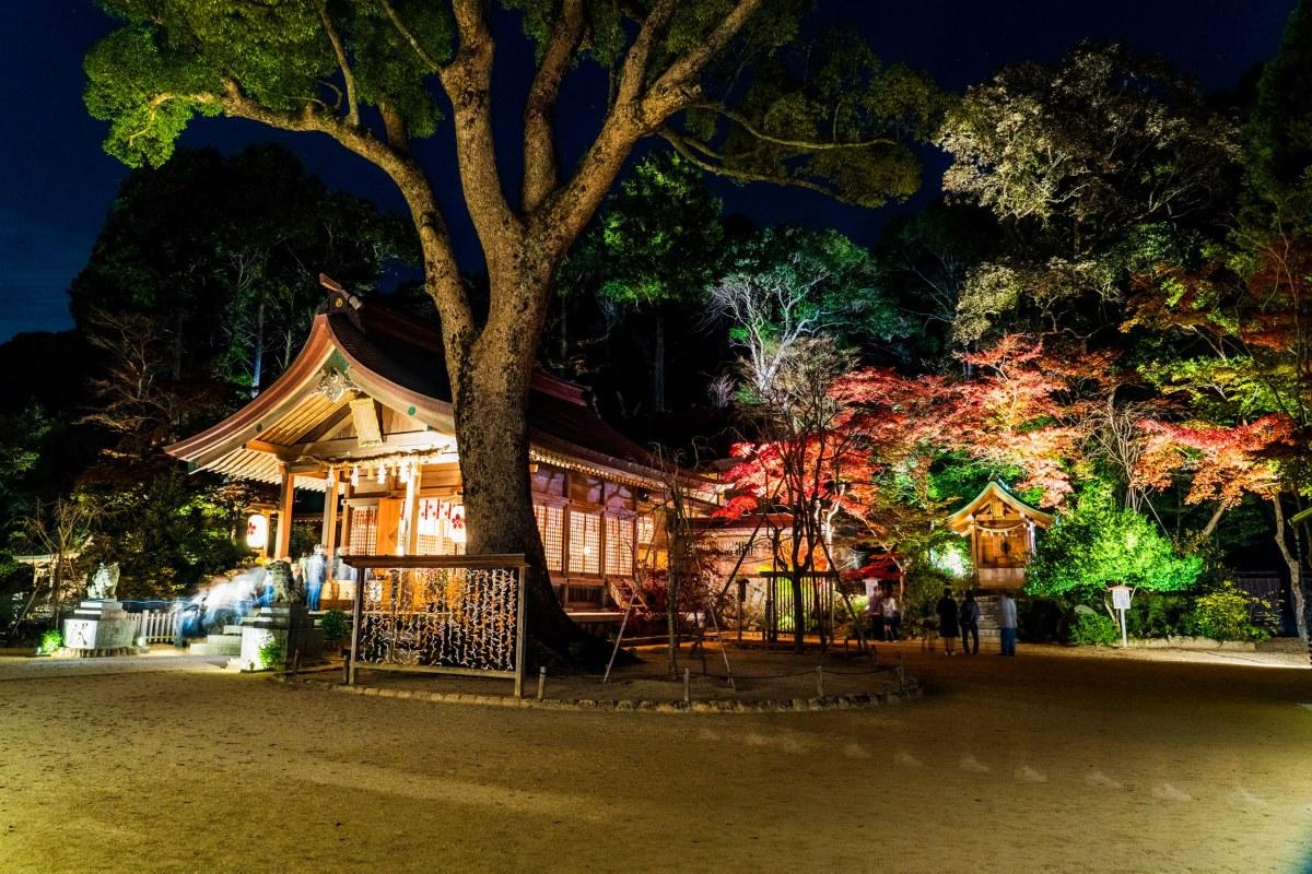 福岡紅葉景點| 11月的紅葉祭會由日落開始至晚上九時會上演紅葉晚間點燈的活動。 (圖片來源:FB@寶滿宮竈門神社)