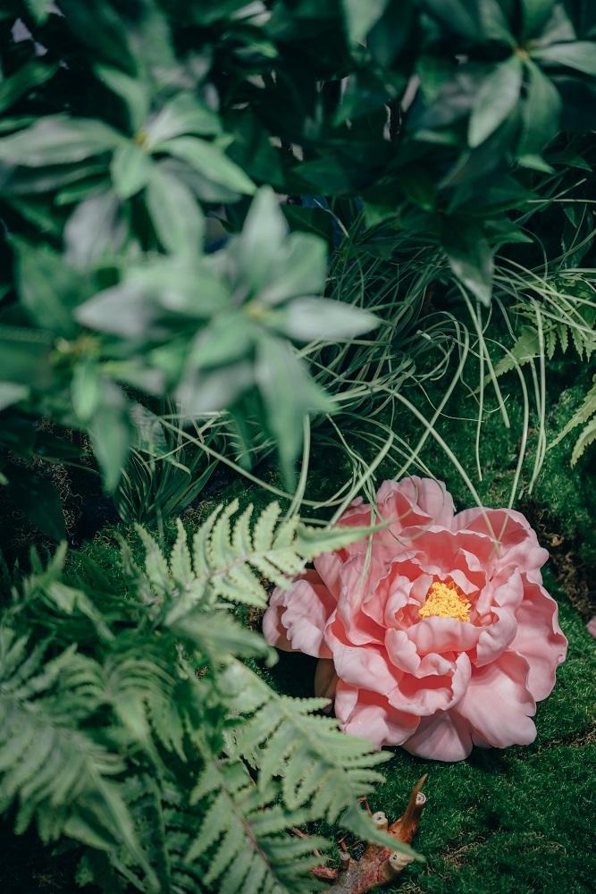 「浮世花影」展覽