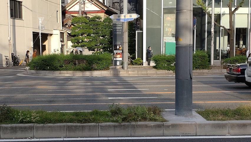 西瓜就在繁忙的路中央成長。(X)