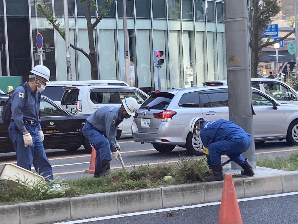 大阪市職員把西瓜帶走。(X)