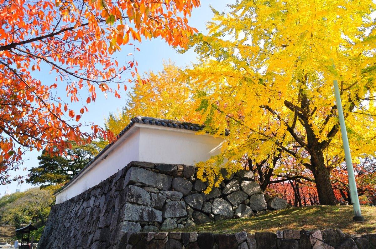 福岡紅葉景點 #06.舞鶴公園・福岡城跡|紅葉期:11月中下旬|地址:福岡縣福岡市中央區城内1-4 (圖片來源:© Fukuoka City)