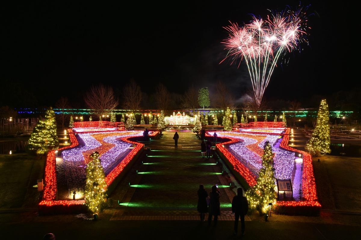 鳥取景點 Flower Illumination冬季點燈,每晚發放約3百發的煙花,在過百萬的燈飾襯托下,帶來浪漫溫馨的氣氛。