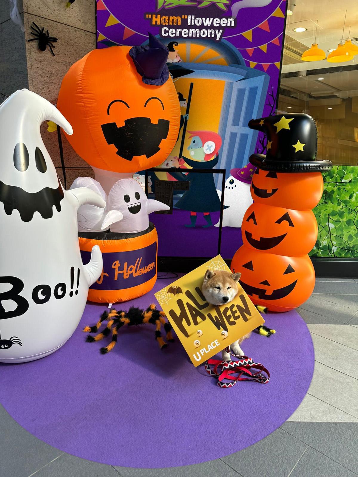 Happy HAM’lloween愛寵齊搗蛋