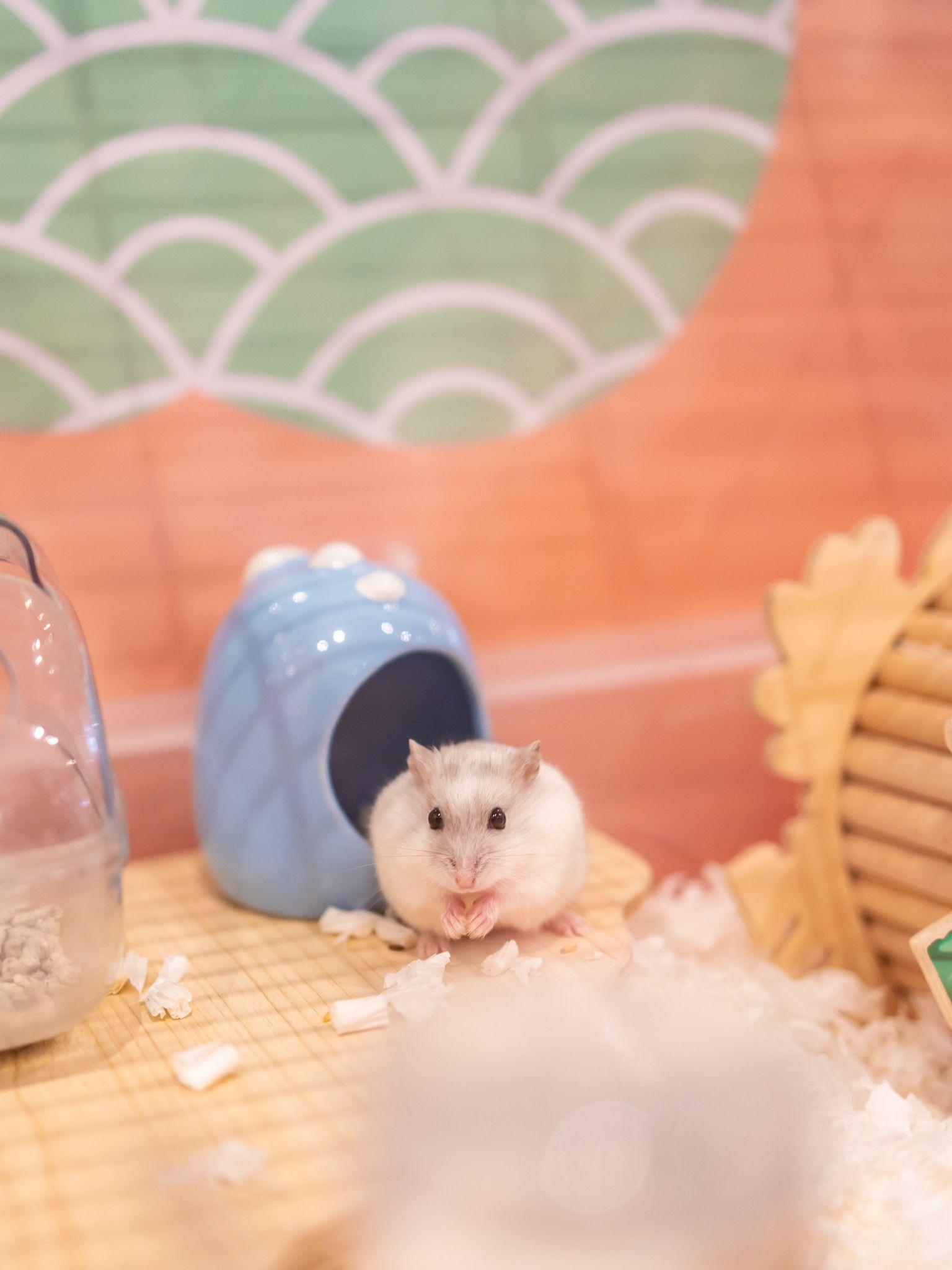 萬聖節2023好去處|U PLACE 萬聖節鬼鬼鼠鼠派對