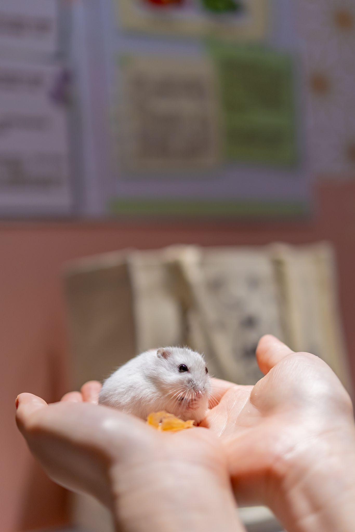 萬聖節2023好去處|U PLACE 萬聖節鬼鬼鼠鼠派對