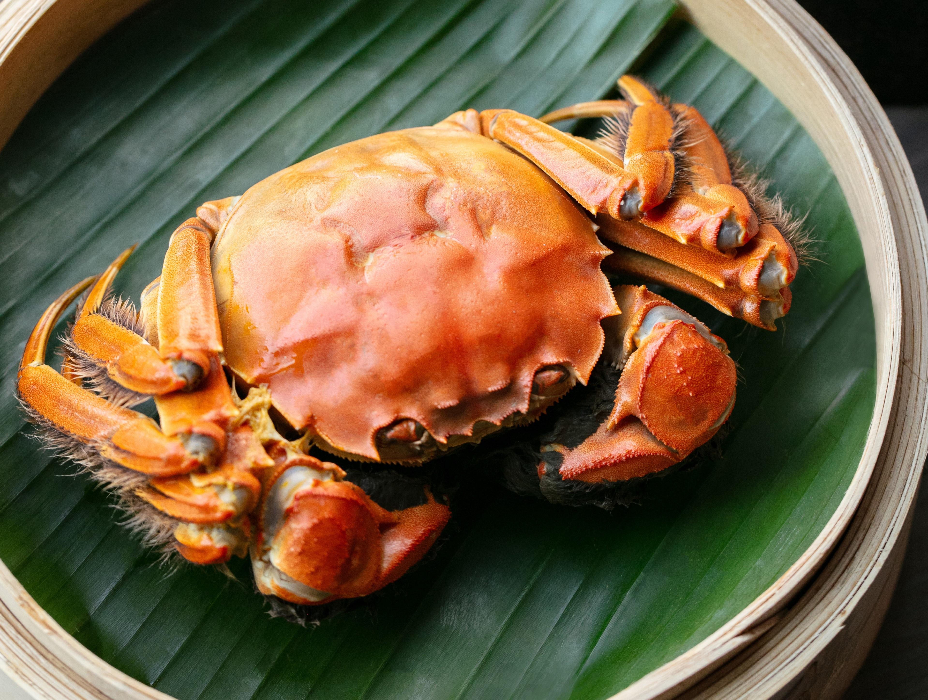 時令大閘蟹(5- 6兩)