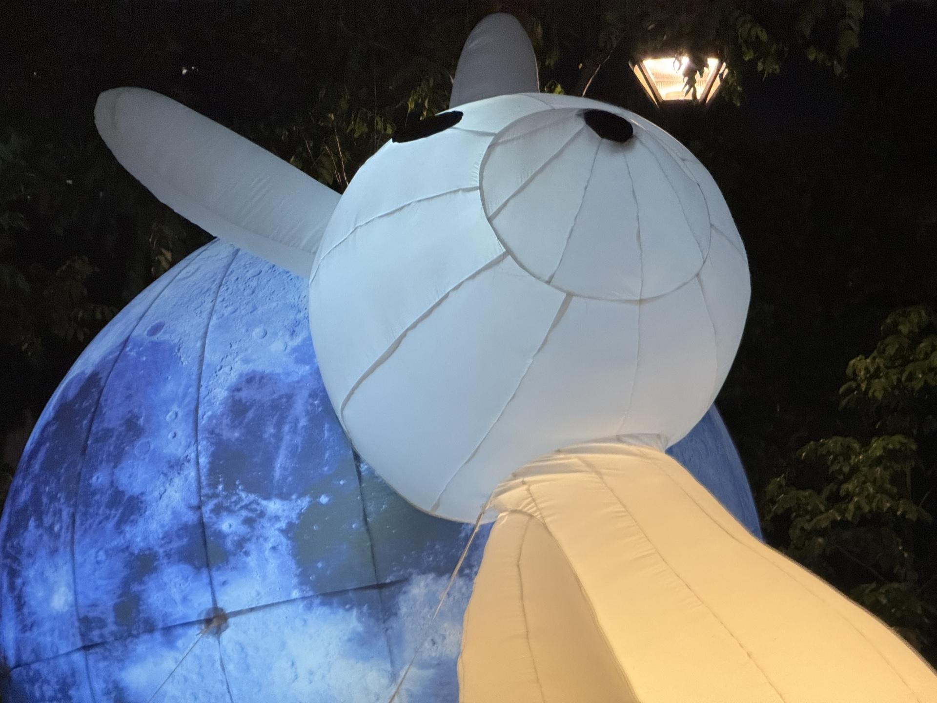 2倍夜攝,明顯雜訊控制相當出色。