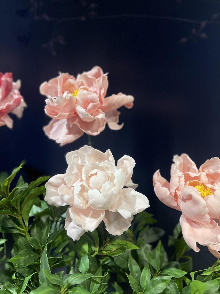 「浮世花影」展覽