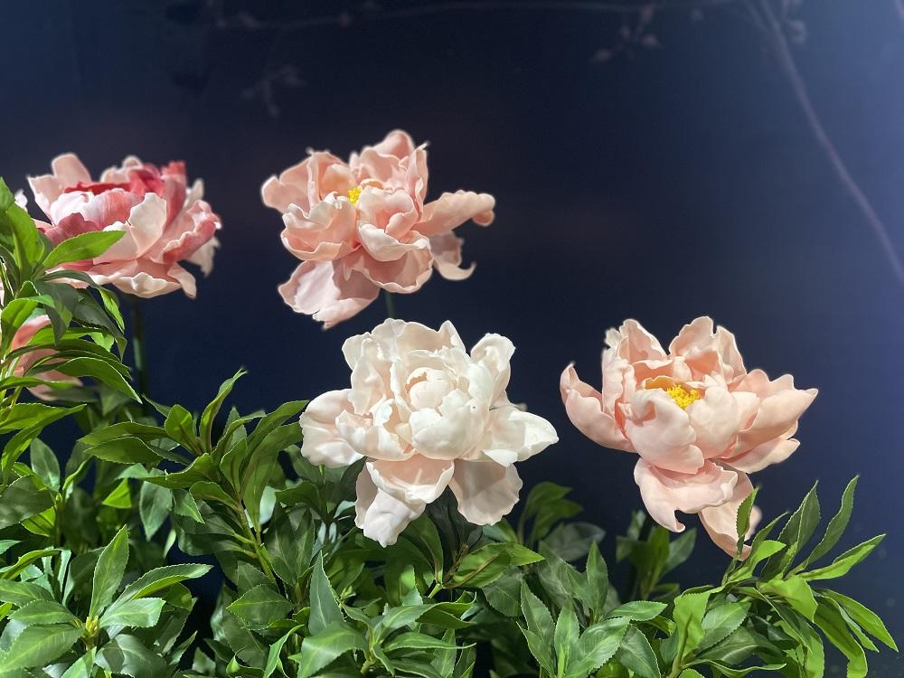 「浮世花影」展覽