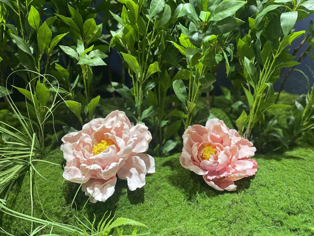 「浮世花影」展覽