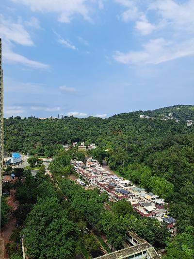 單位外望翠綠山景,景觀不俗。(代理提供)