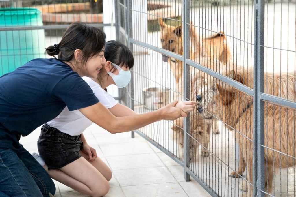 Lalamove夥拍本地慈善團體浪浪之家和動物友善餐廳Hooman by the Sea,於10月29日舉行狗狗領養日「毛Lala有頭家」,幫助待領養的毛孩尋找安樂窩。
