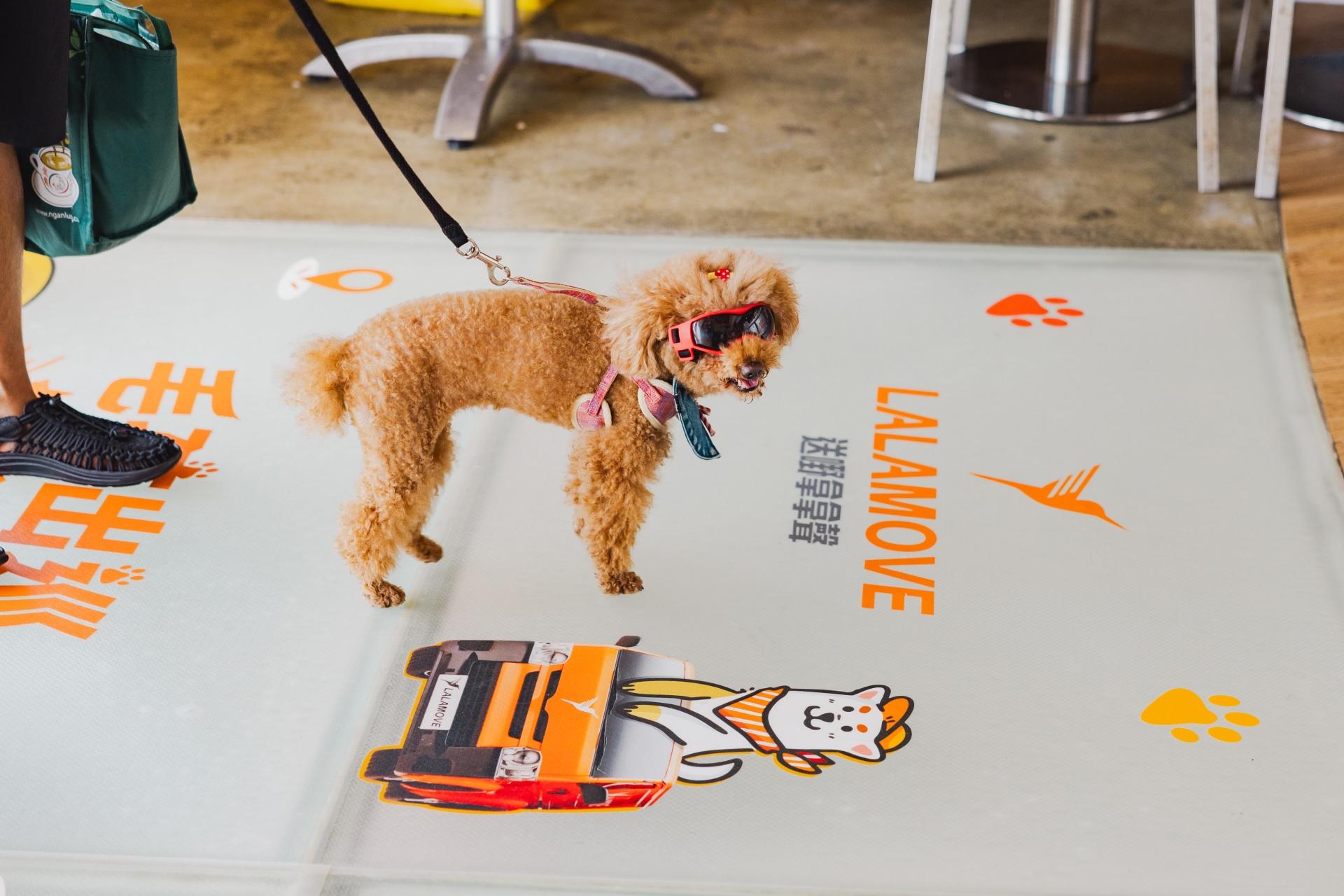Lalamove聯乘Hooman by the Sea推出一連串毛孩專屬精彩活動及獎賞禮遇,包括Lalamove主題餐廳、主題限定美食和接送優惠等。