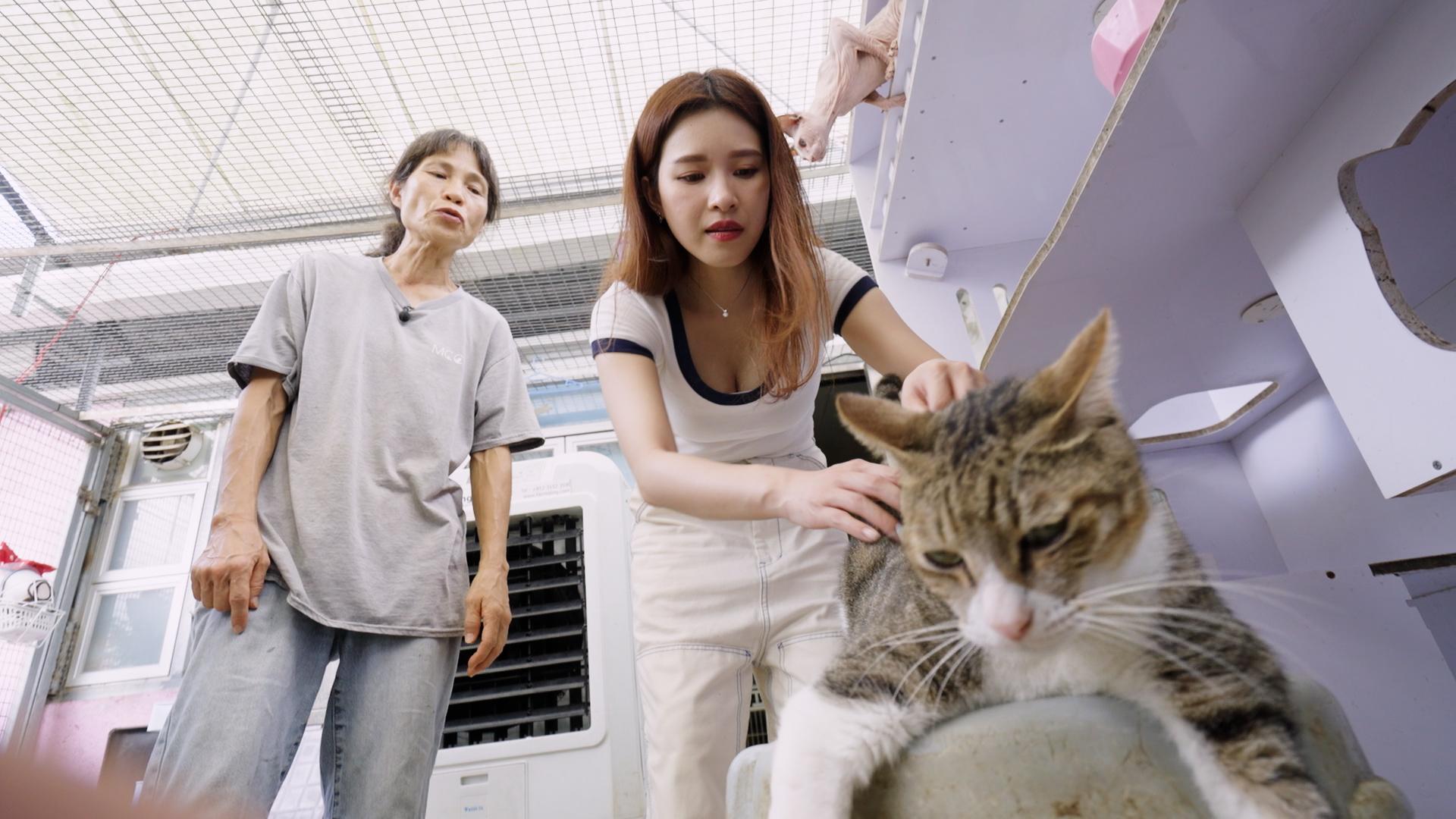 Renee照顧流浪貓狗,目標是成立救毛孩的組織。