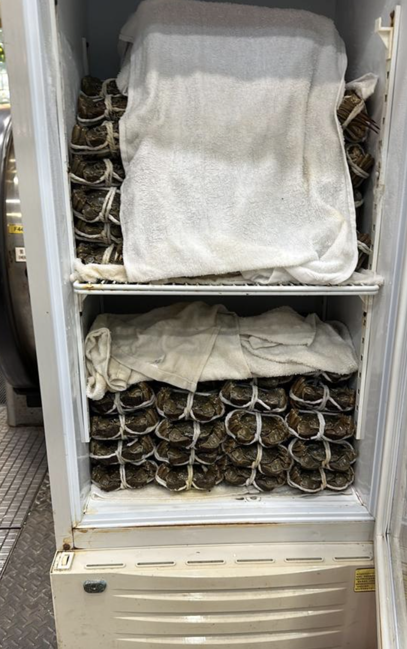 事主亦分享指該酒樓的職員服務和態度均十分好,即使在限時兩小時完結後,職員仍願意額多蒸60隻大閘蟹給他們。(圖片來源:Facebook@香港大閘蟹關注組)