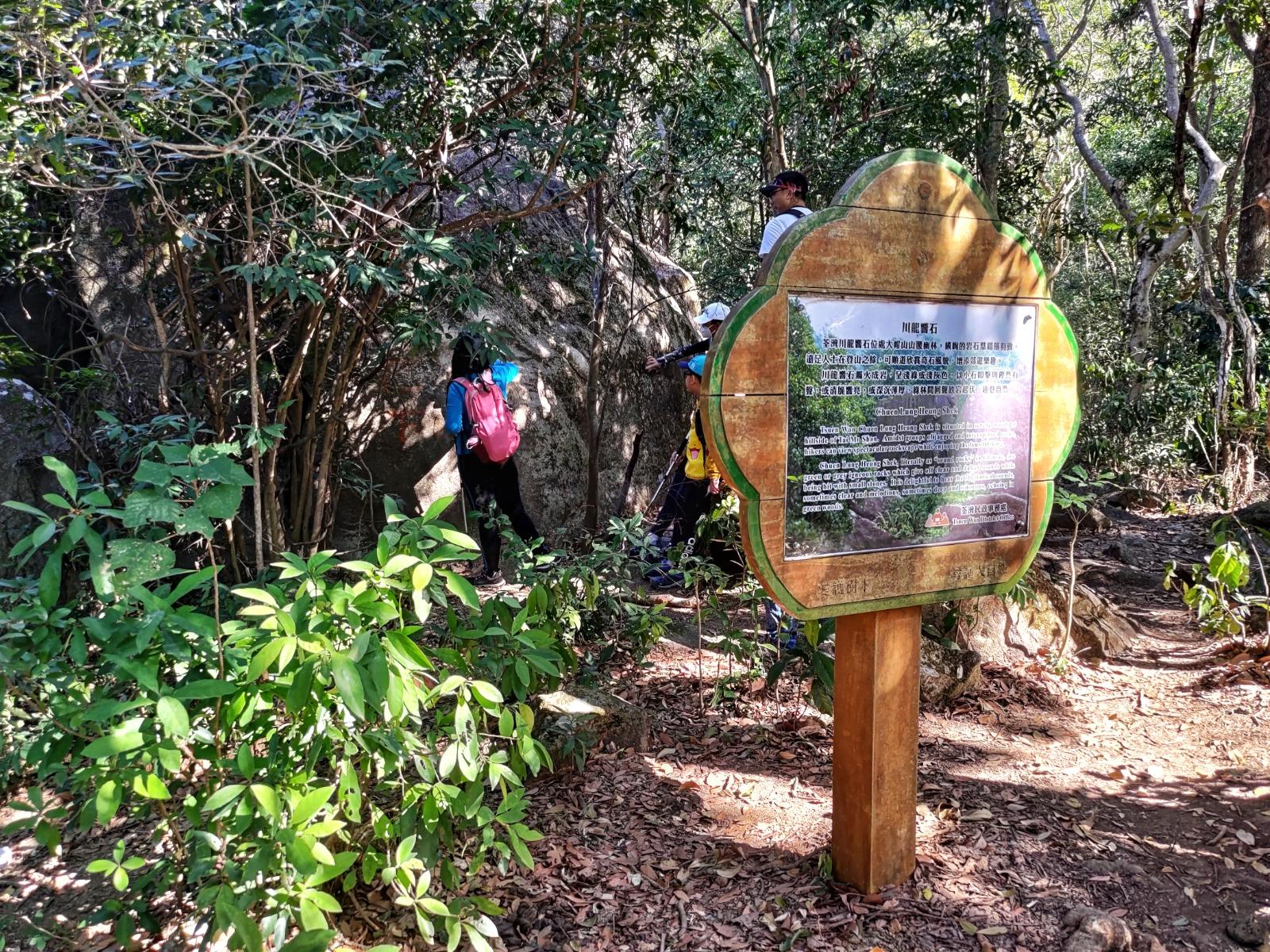 大帽山行山丨響石脊入口位於川龍茶樓後面,往響石一段非常易行好走