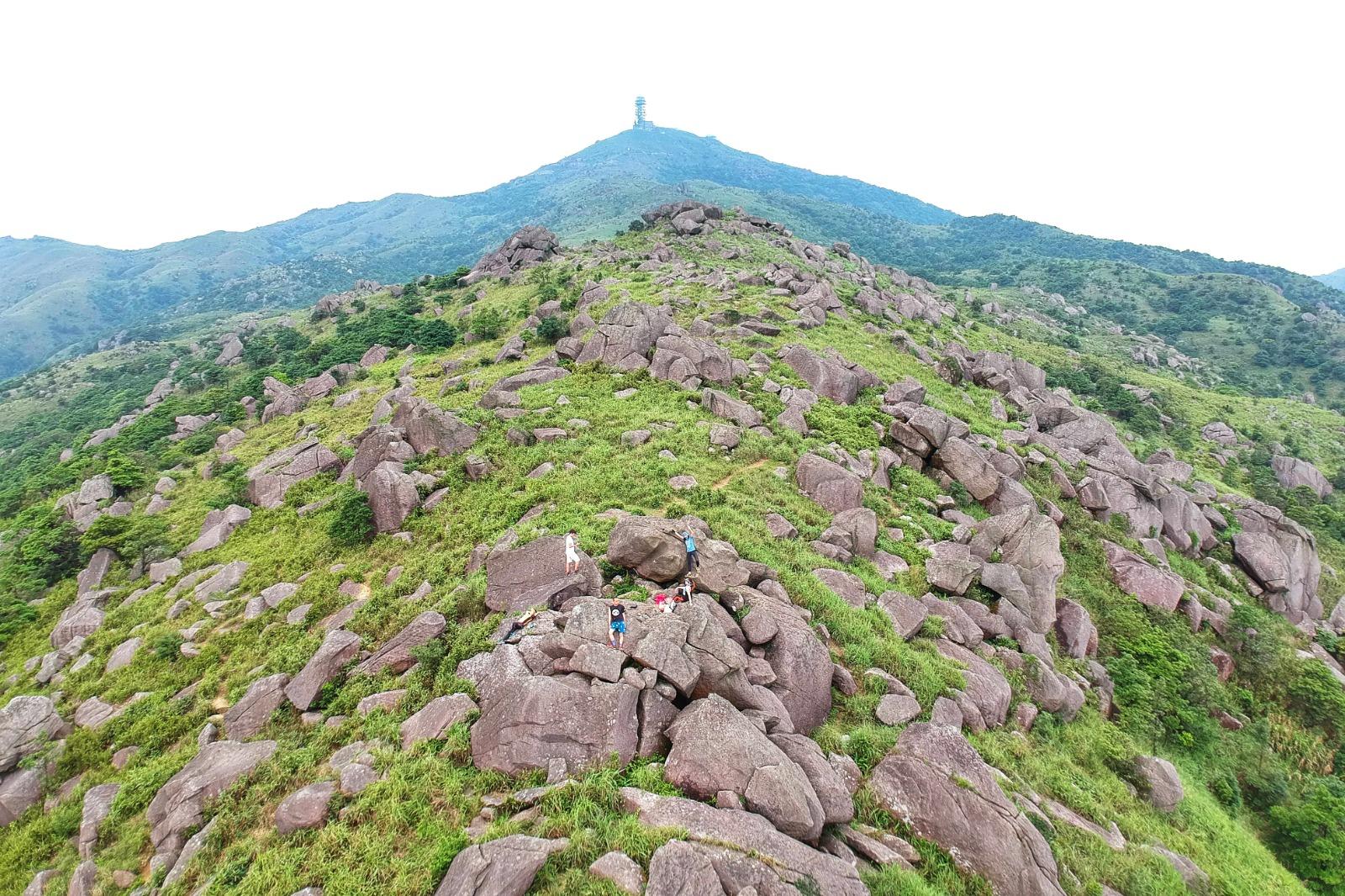 大帽山行山丨由相思林徑中段可轉上禾秧尋石林