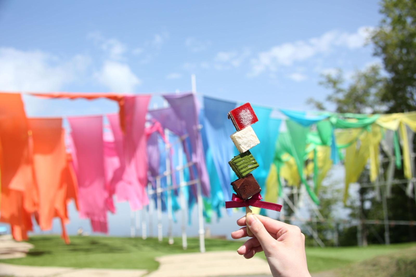 被稱為「びわ湖のみえる丘」的景區,就是以高島地區的傳統織物「ちぢみ(縮)」組成出一片絕美的彩虹簾幕,風吹揚起,就可以看到琵琶湖的美景。(圖片來源:PR TIMES/びわ湖のみえる丘)