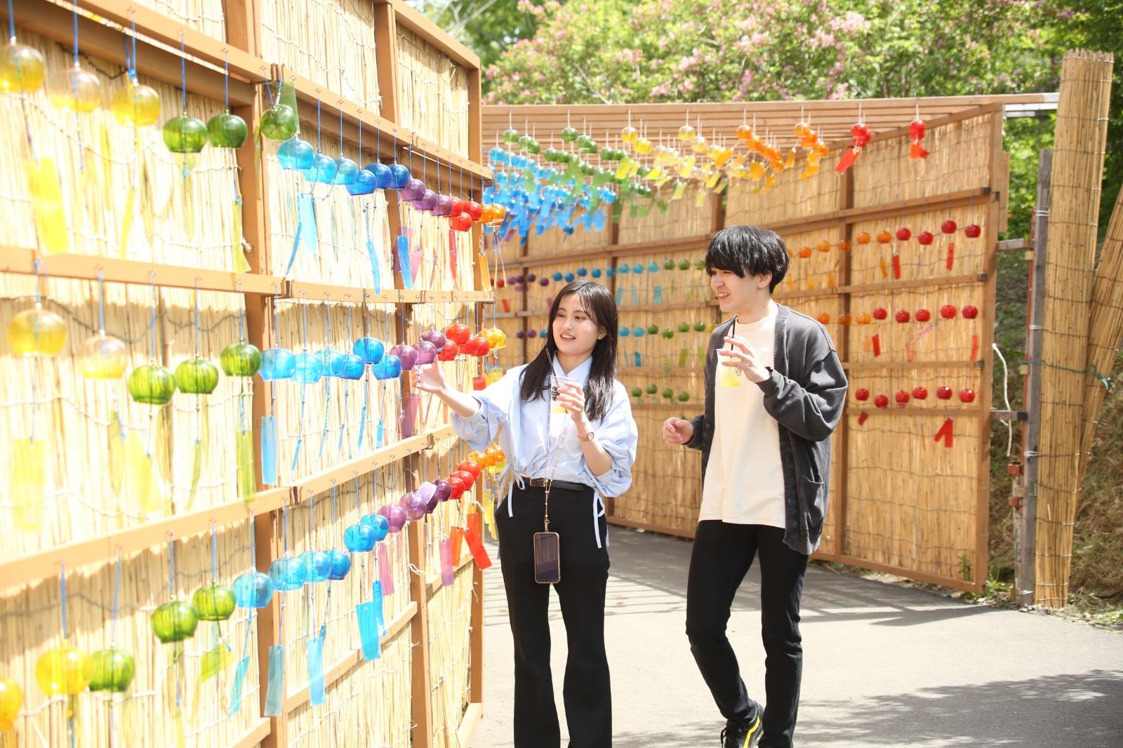 打卡必到的彩虹風鈴蘆葦小徑,以琵琶湖的蘆葦與882個彩色風鈴組成,有如一條打卡隧道!(圖片來源:PR TIMES/びわ湖のみえる丘)