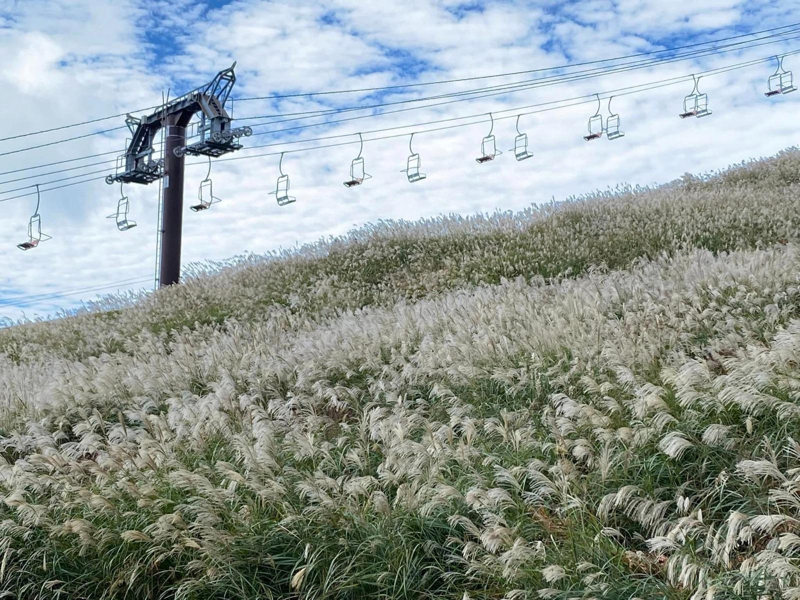 可以選擇坐在「第二浪漫纜車」登上最高的見晴台,不單可以看到芒草,還可遠眺琵琶湖、伊吹山和竹生島的景色。(圖片來源:PR TIMES /びわ湖のみえる丘)