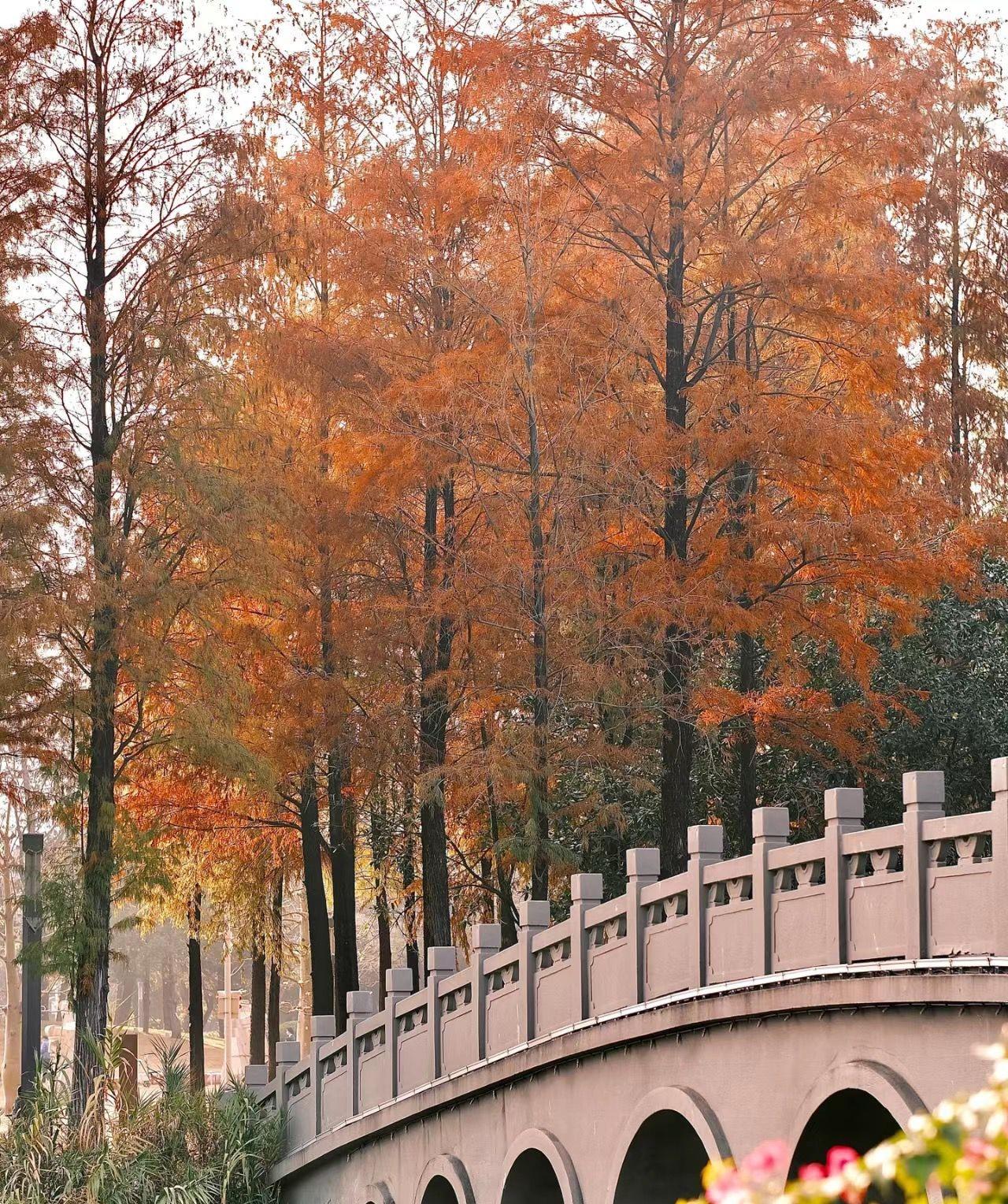 深圳四海公園(相片來源:小紅書)