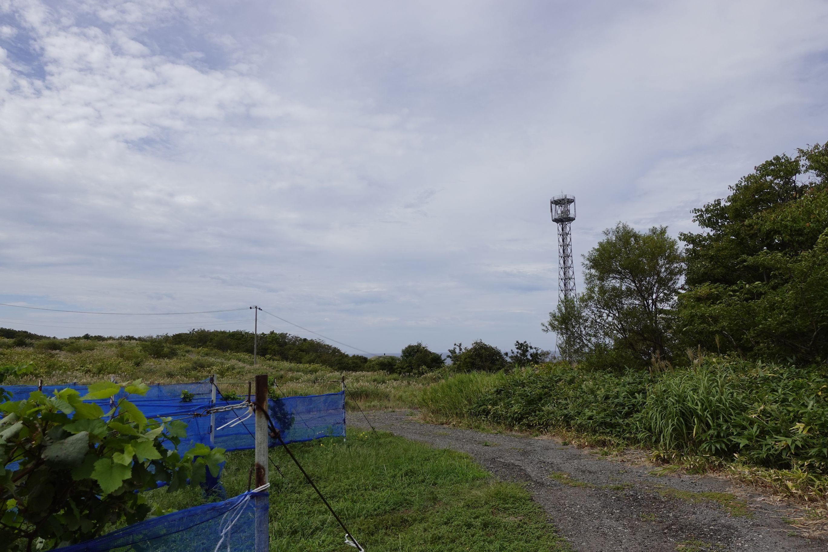 奧尻葡萄田長時間吹著海風,令生產的紅酒有著獨特的海鹽味。