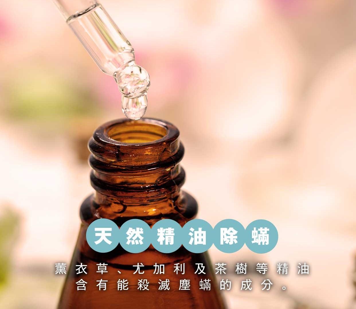 除蟎方法|使用天然精油除蟎