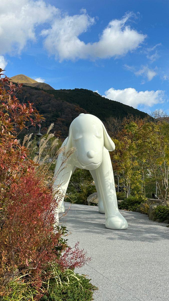 大分紅葉景點,看過金鱗湖的秋日紅葉,不妨順道到「COMICO ART MUSEUM YUFUIN」美術館去,館藏奈良美智的「Your Dog」作品,同樣可以看到紅葉美景。 (圖片來源:日本見)