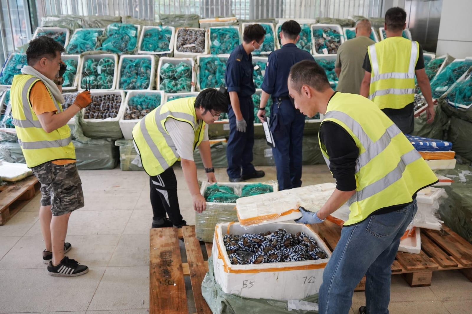 海關在行動中檢獲4.8萬隻走私大閘蟹。(李睿哲攝)