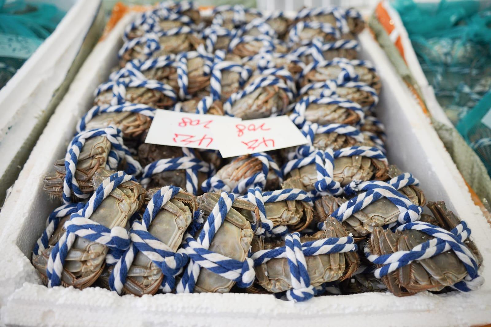 海關在行動中檢獲4.8萬隻走私大閘蟹。(李睿哲攝)