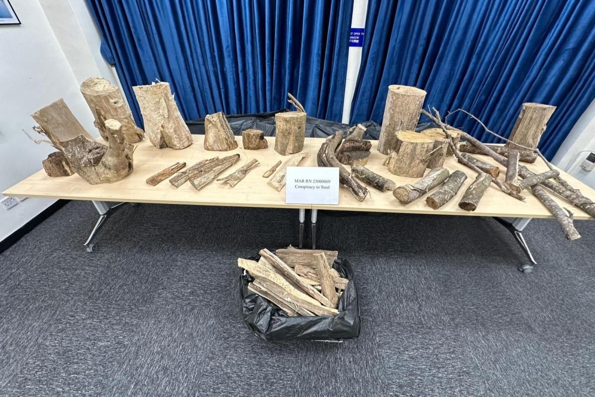 警方在屏山一間鐵皮屋和附近檢獲土沉香。