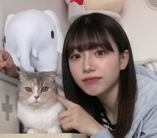 被捕女騎士森田祐加。(網上圖片)