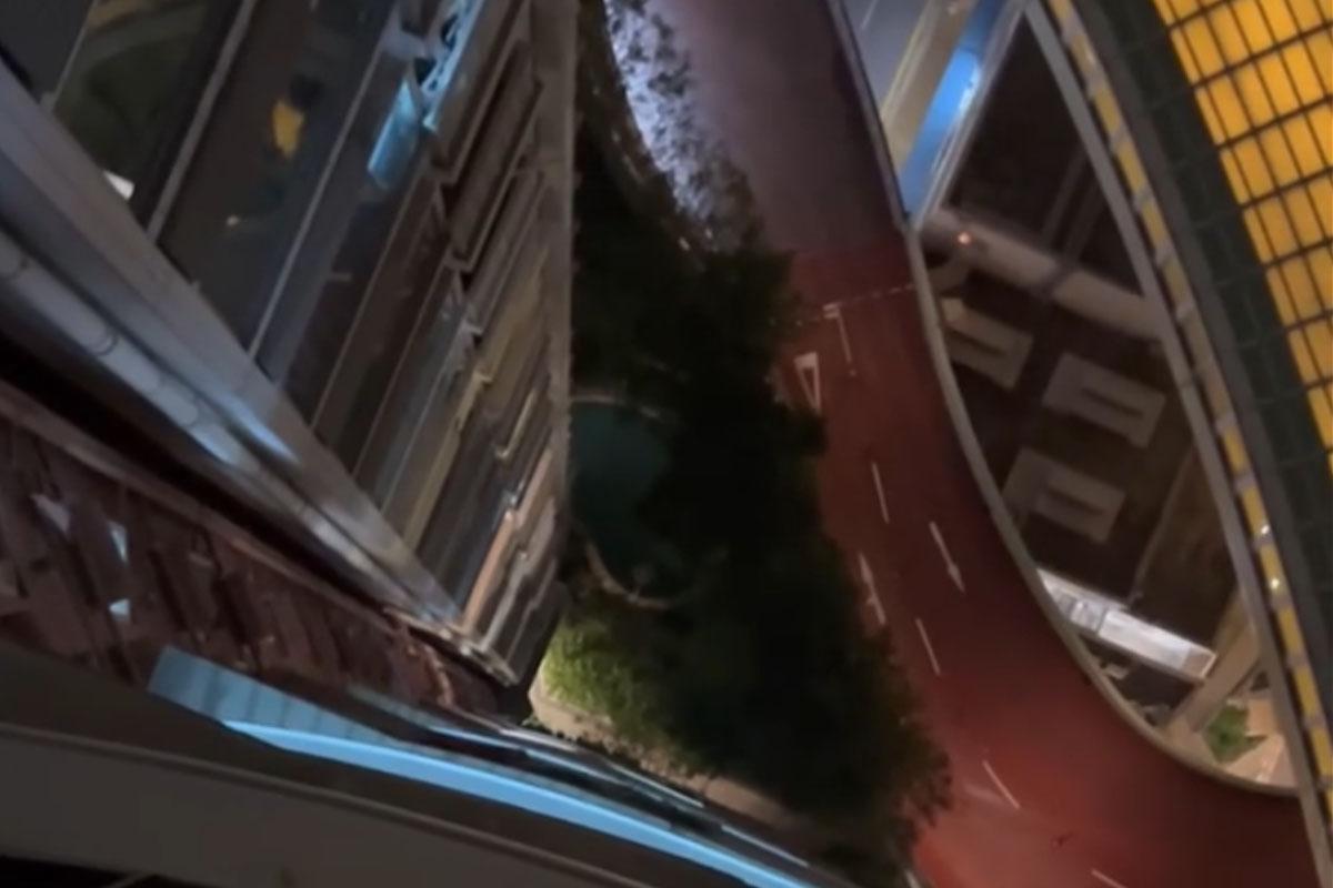 名城有一隻寵物貓危站大廈外牆後,終失足墮樓。(FB群組「大圍名城住戶谷 Festival City Tai Wai Residents Group」)