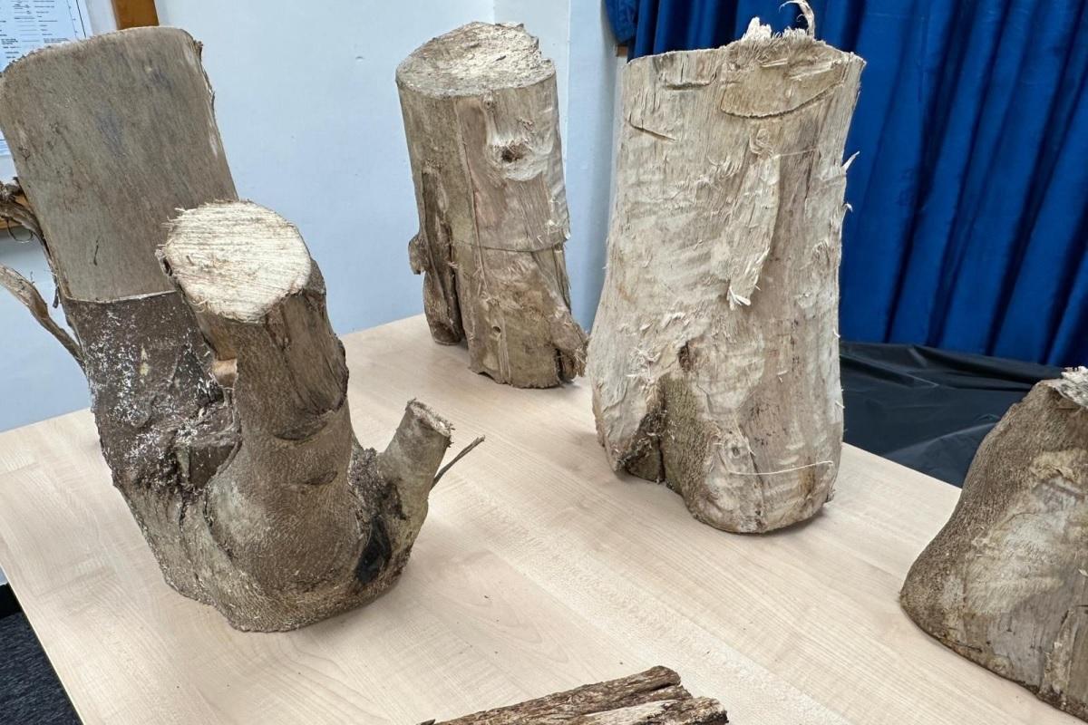 警方在屏山一間鐵皮屋和附近檢獲土沉香。