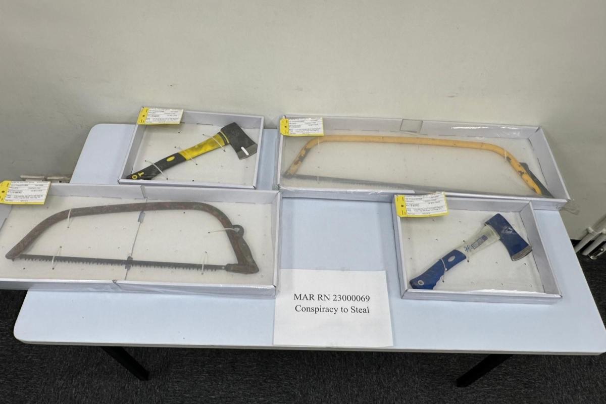 警方在屏山一間鐵皮屋和附近檢獲一批伐木工具。